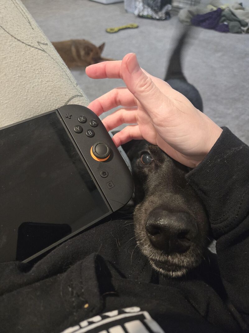 Hes not neglected but he feels he is