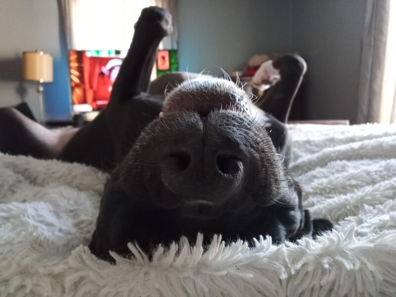 It's a hard knock life