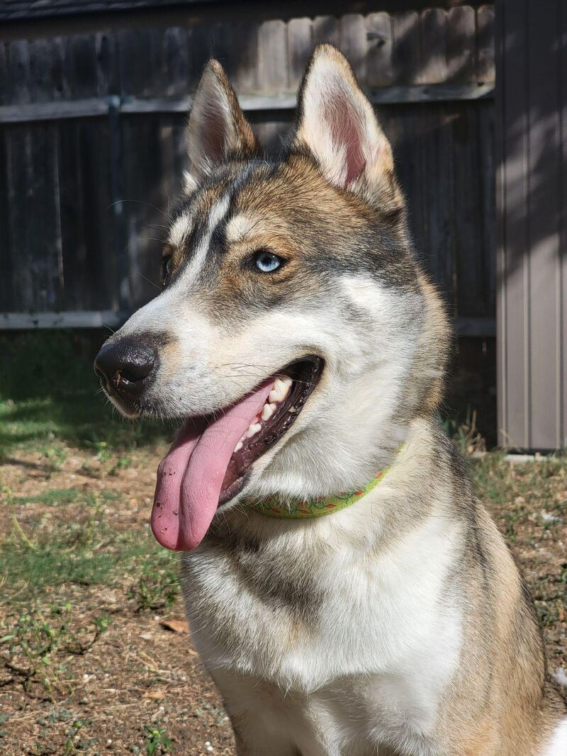 He thinks he's a model