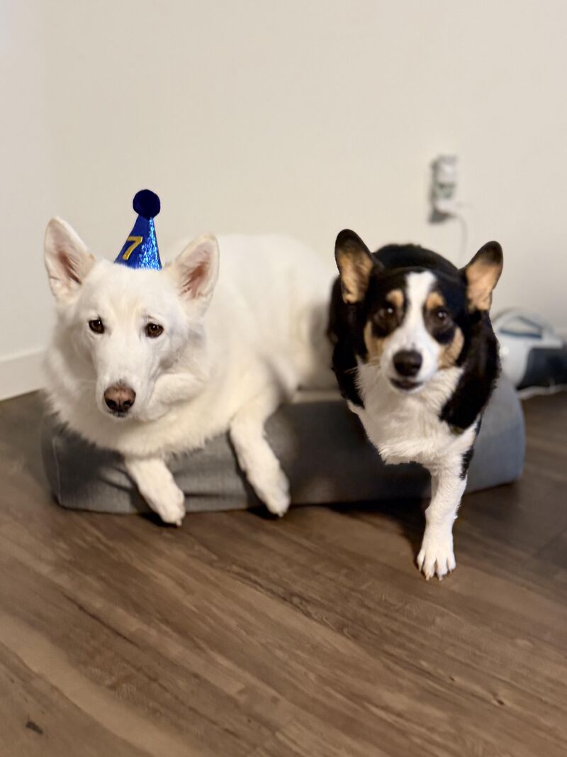 My sister’s baby and her friend.