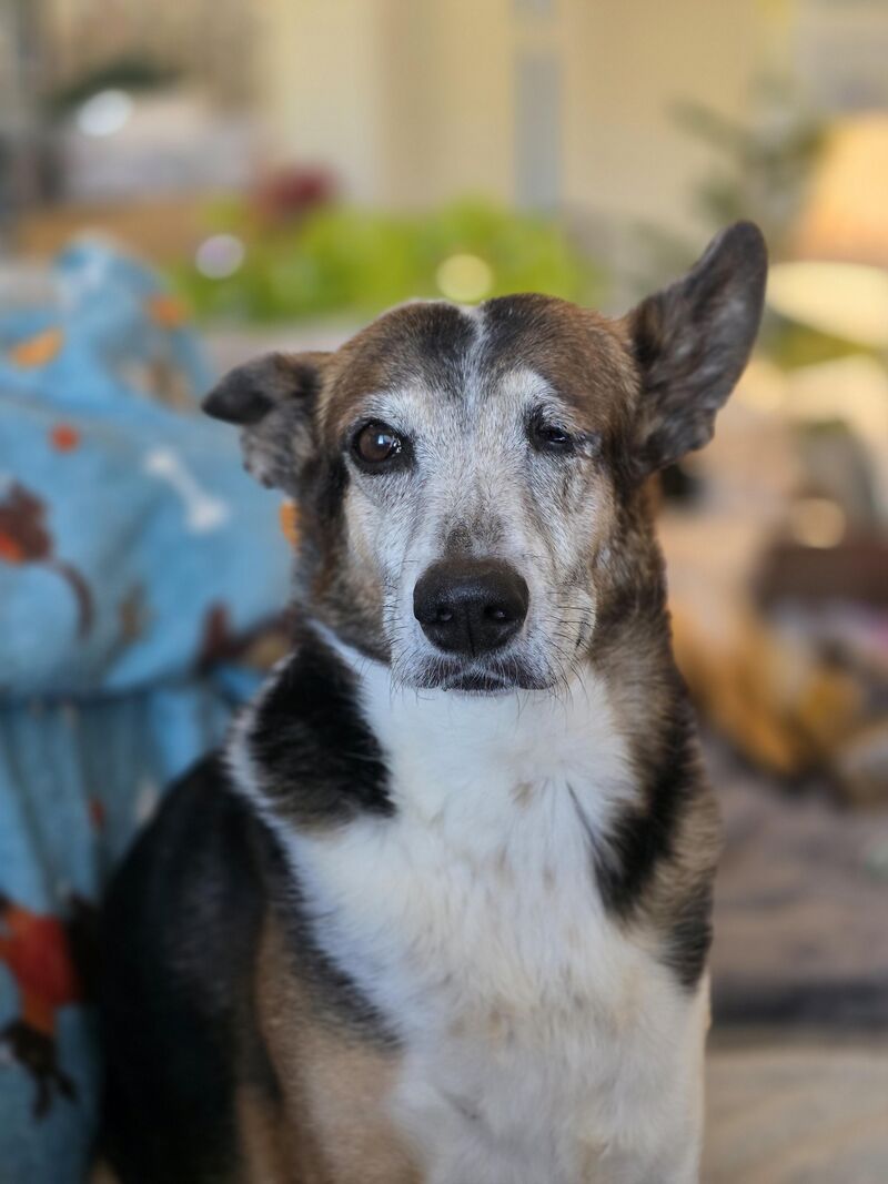 Persephone got some not so great news yesterday