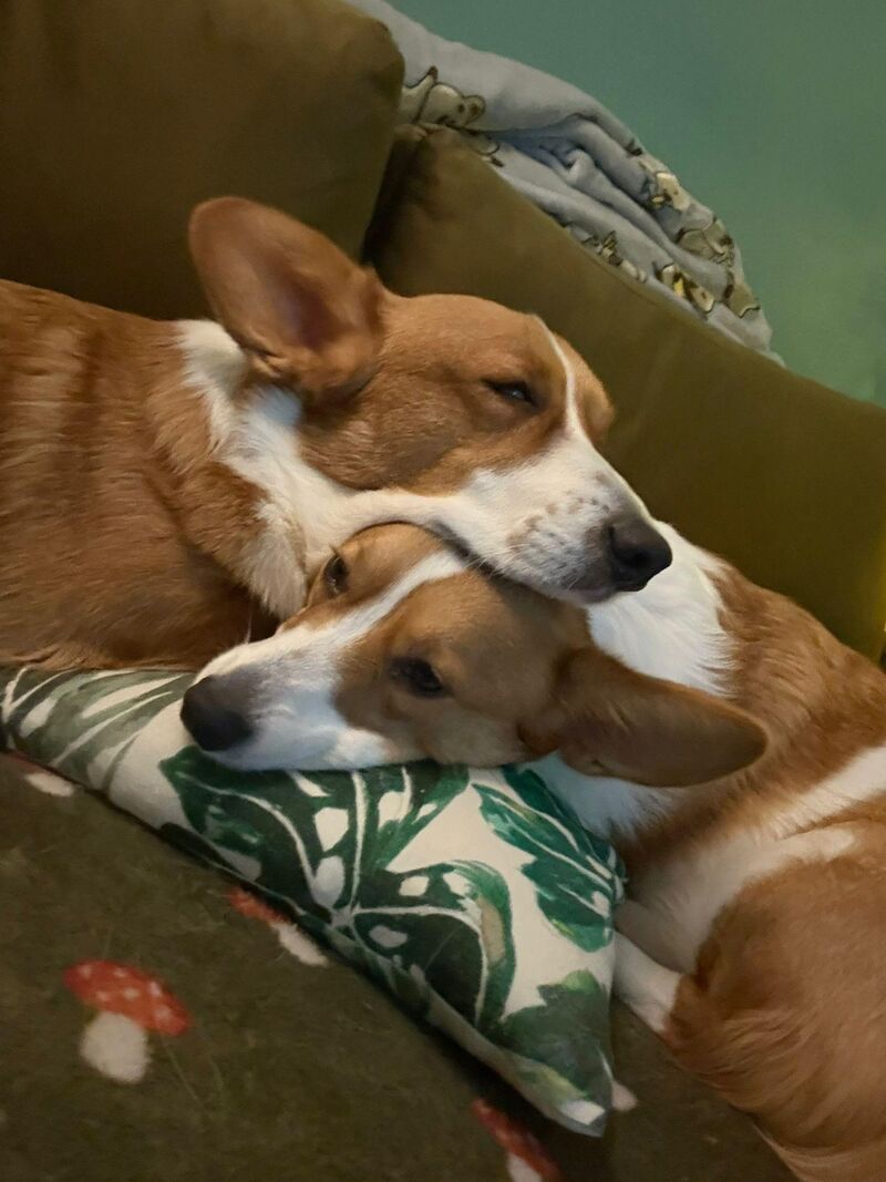 How cute are they together