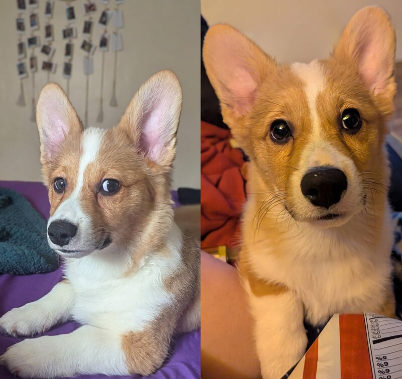 They really do grow up so fast 😭