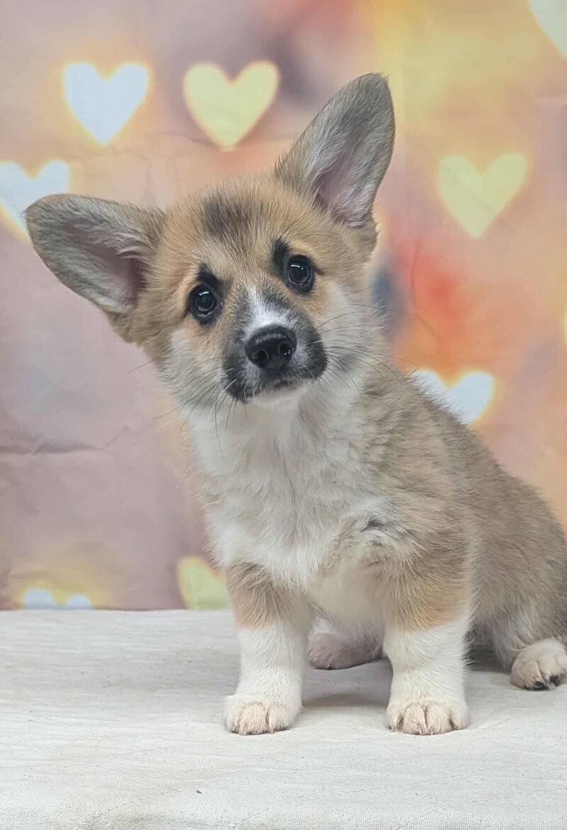 Picking her up on Saturday