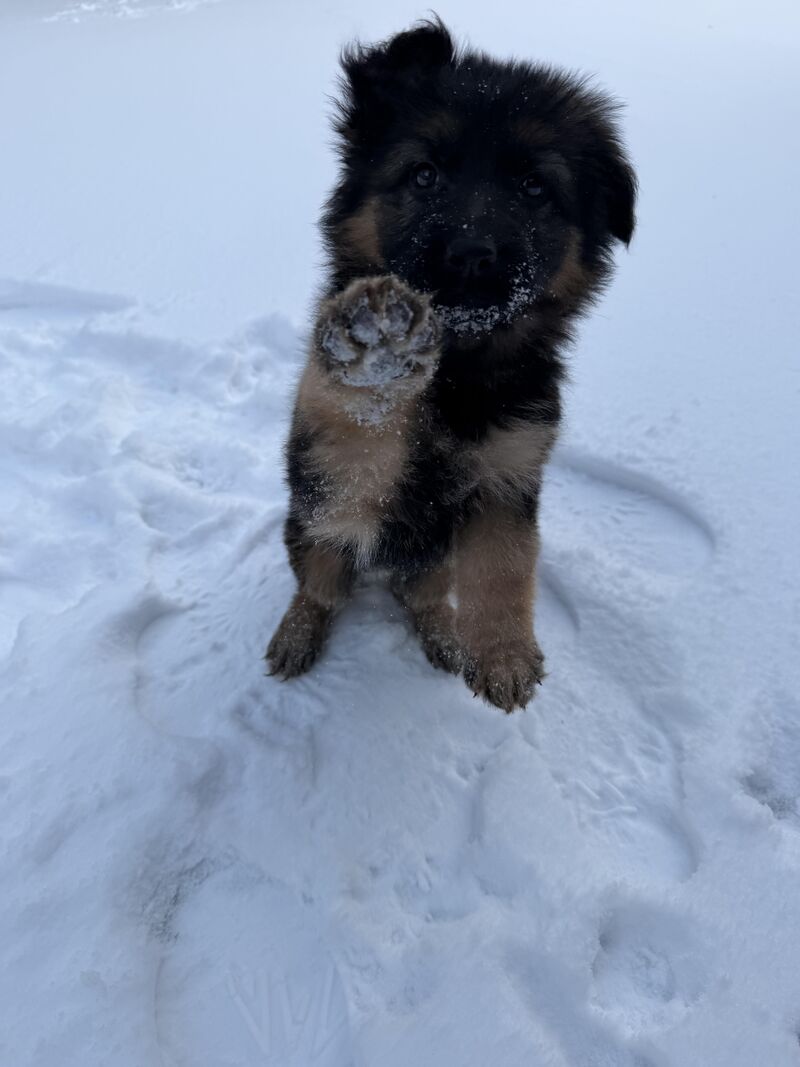 The snow melted quickly, but she loved it