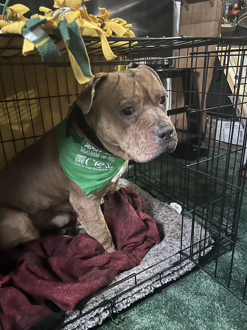 Sometimes I hate people trigger warning for abuse