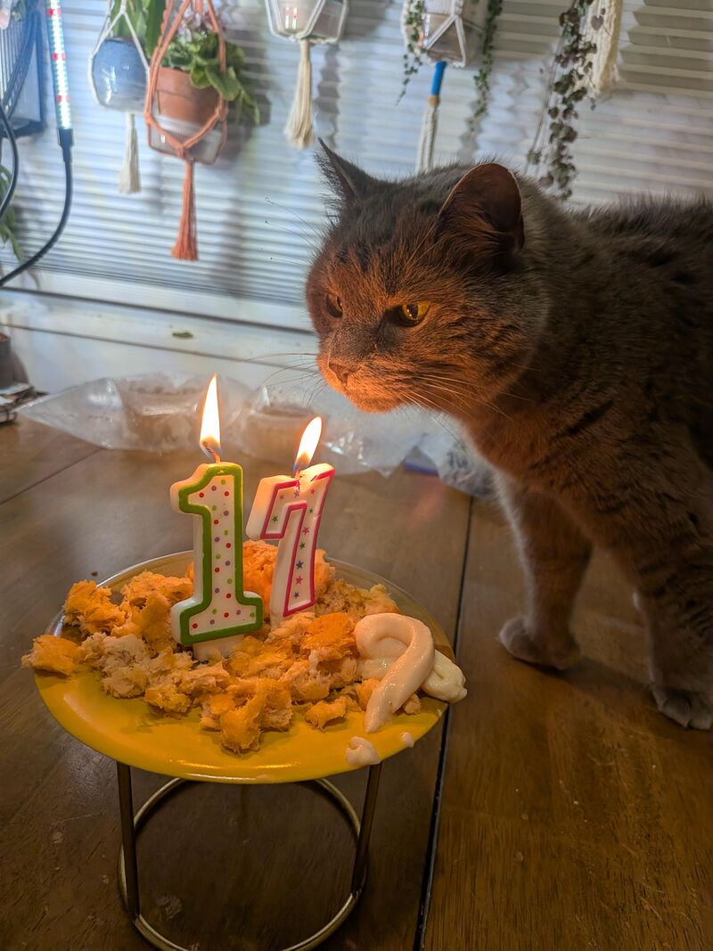 Glass turned 17 this week. Long live the household matriarch!