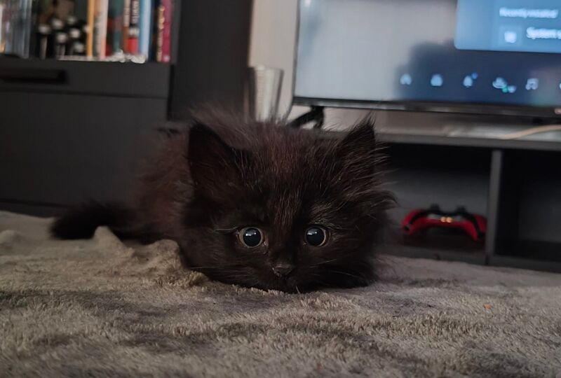 moments before disaster