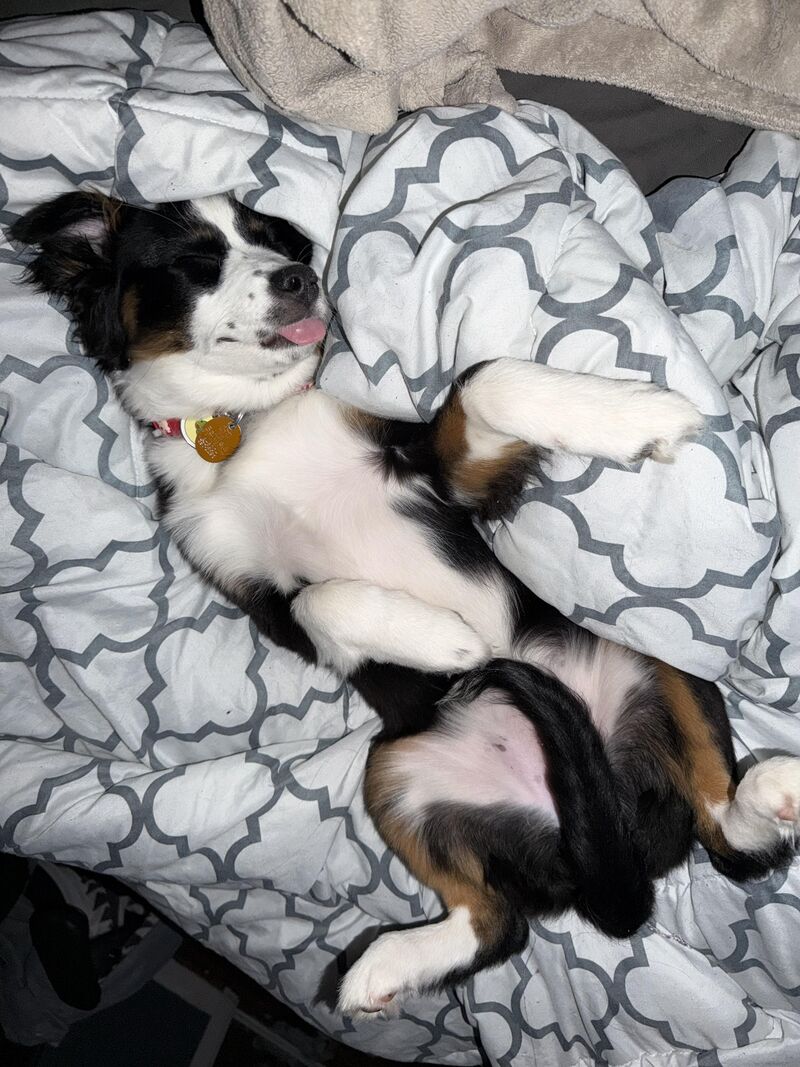 She sleeps like this every night.