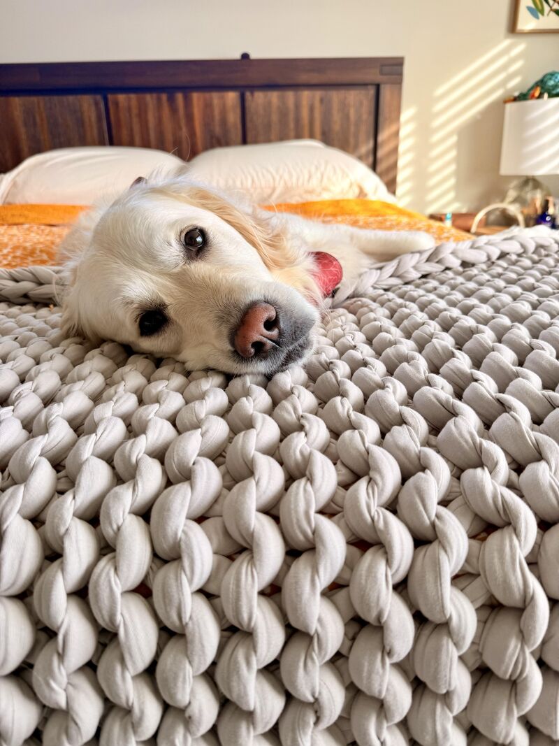 Booked. Busy. Unavailable.