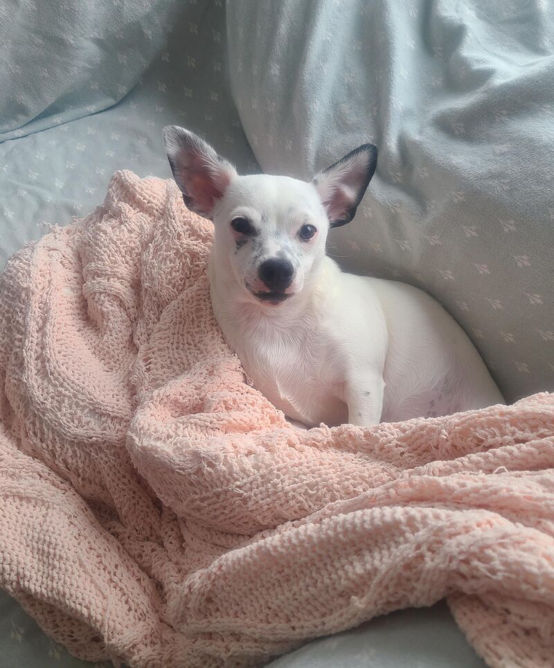 Gabe is 6 months old today! Happy Birthday Gabe! 🎂