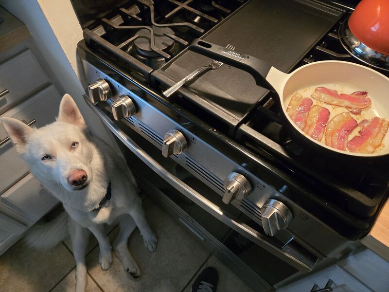 Who has a kitchen helper?