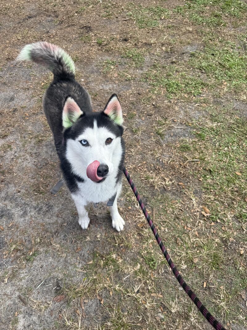 Lost a friend for being mean to my girl 🤷🏼‍♀️ I’d do it again