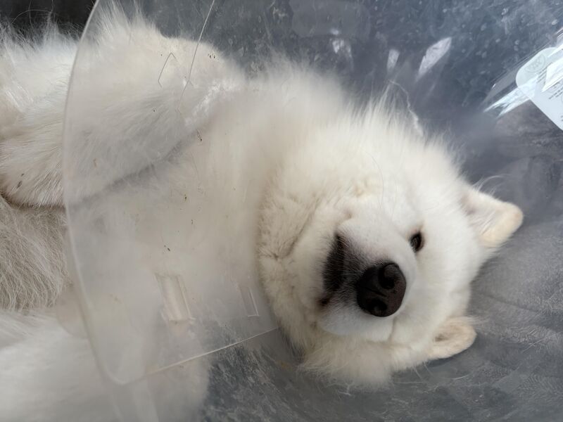 The face one makes during their 4 times a day warm compress on their lower bits