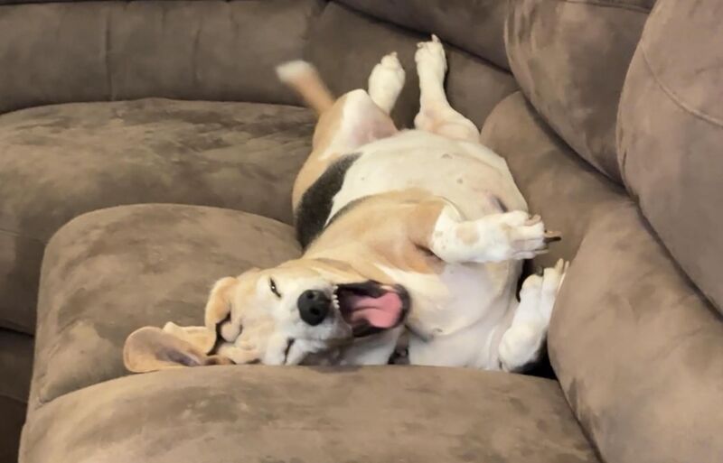 The poise. The elegance.