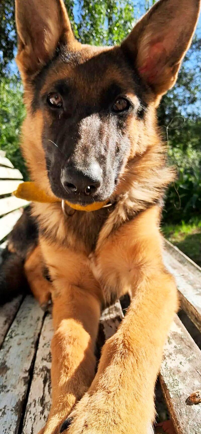 Always striking a pose for the camera lol