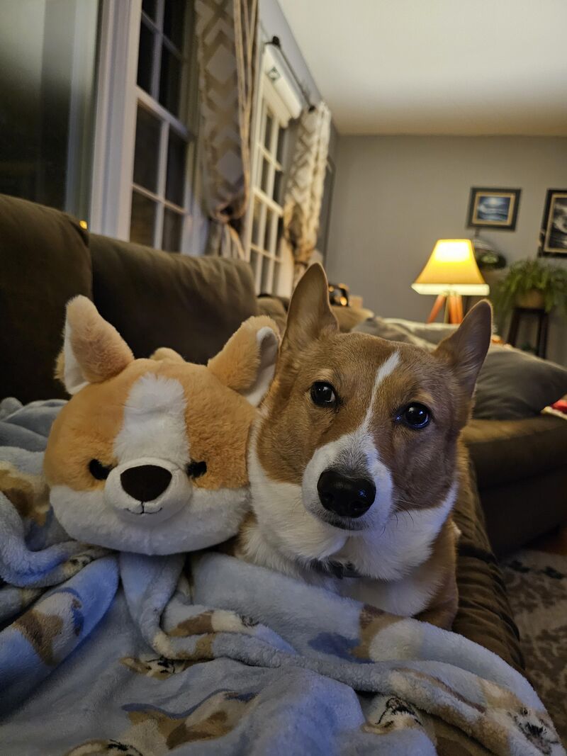 Who's this Imposter?