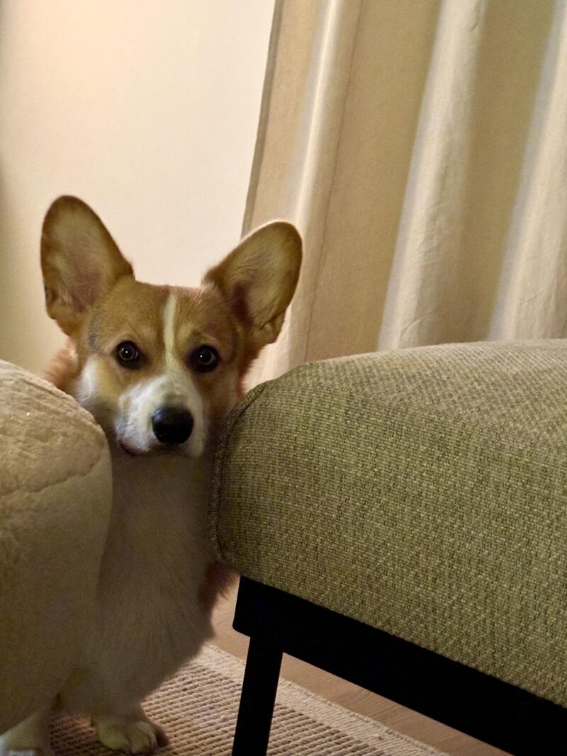 Hello weekend, did you miss me?