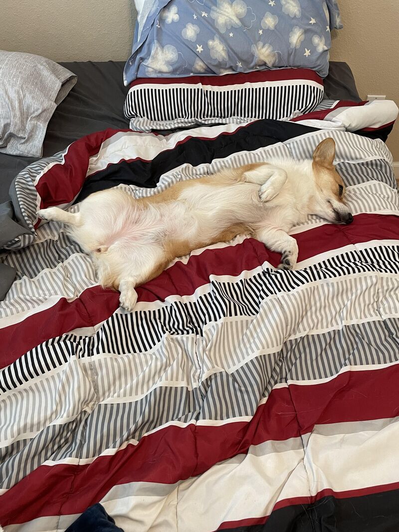 Research assistant hard at work this morning