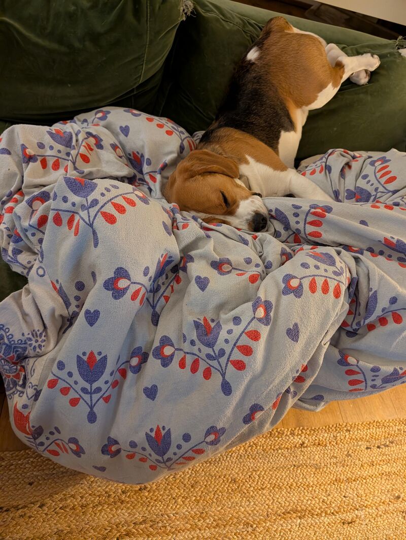 Comfiness is subjective