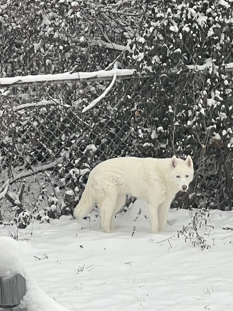 Sudden behavior changes