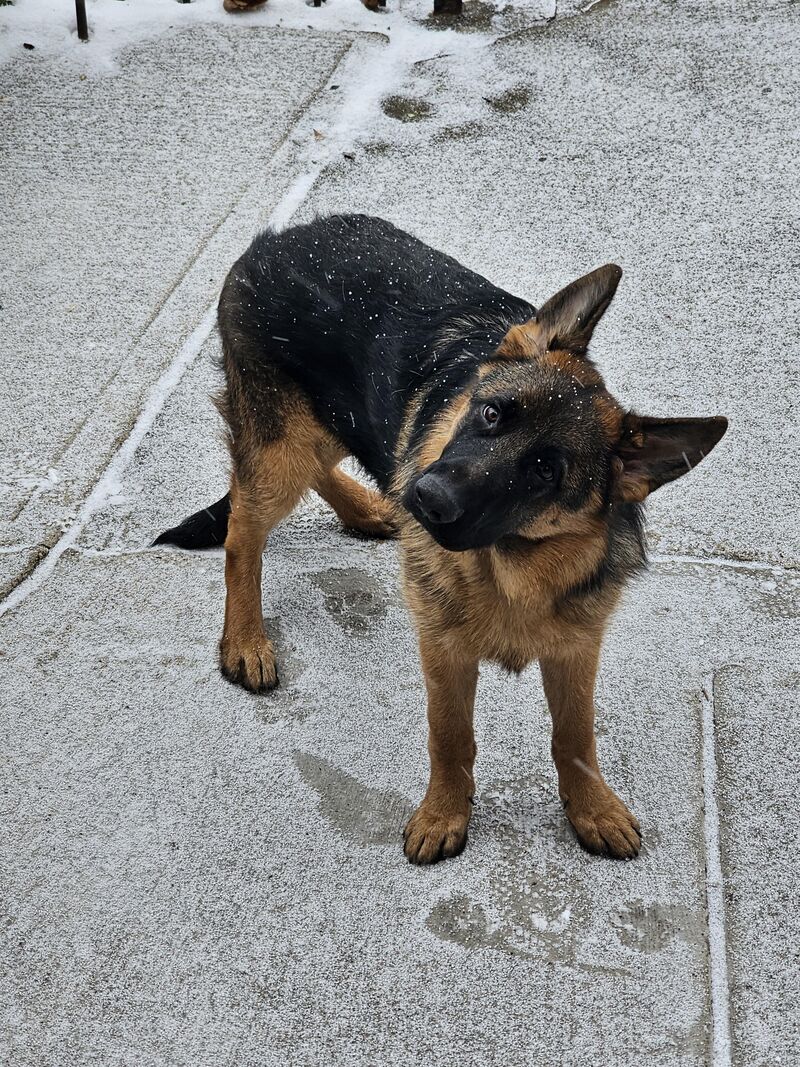 Tiltiest Head Tilt of all time