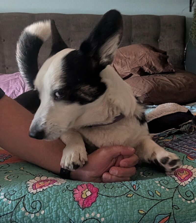 Getting the side eye...