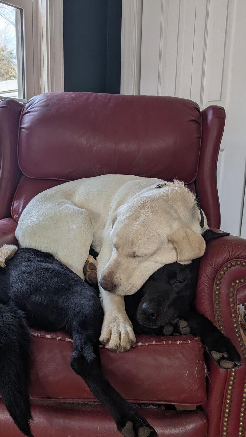 On a call in my office and heard labored breathing.......