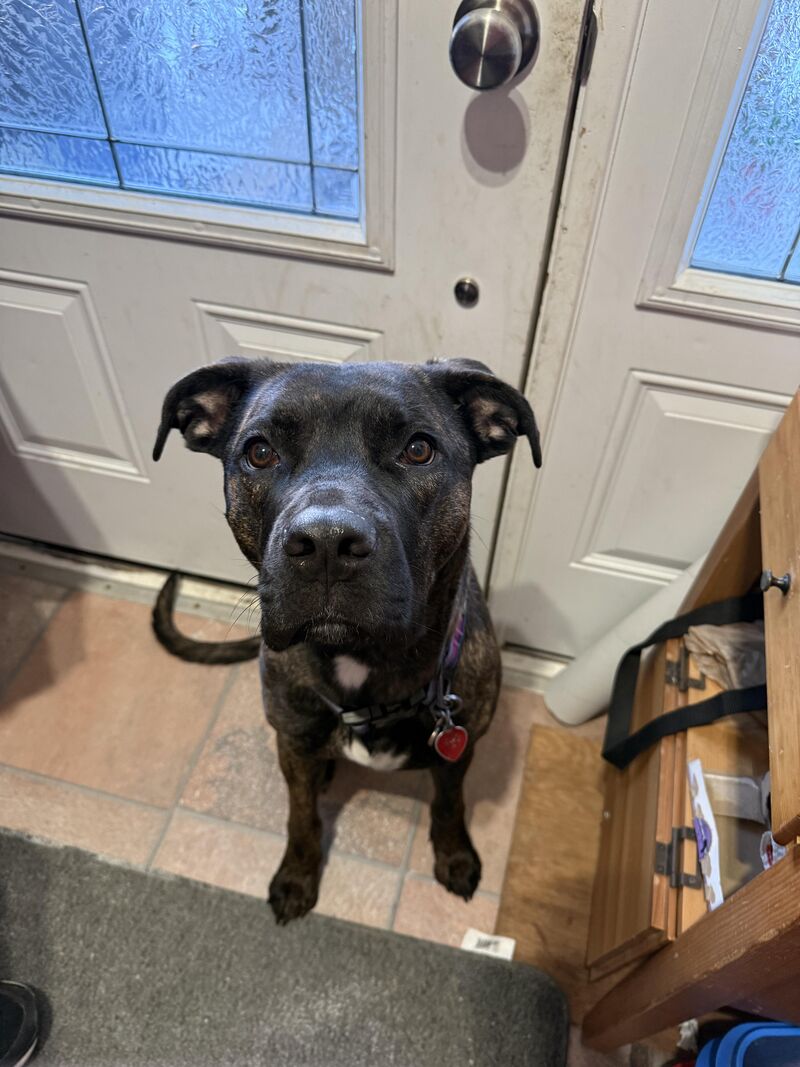 Missy Just before I leave fire work