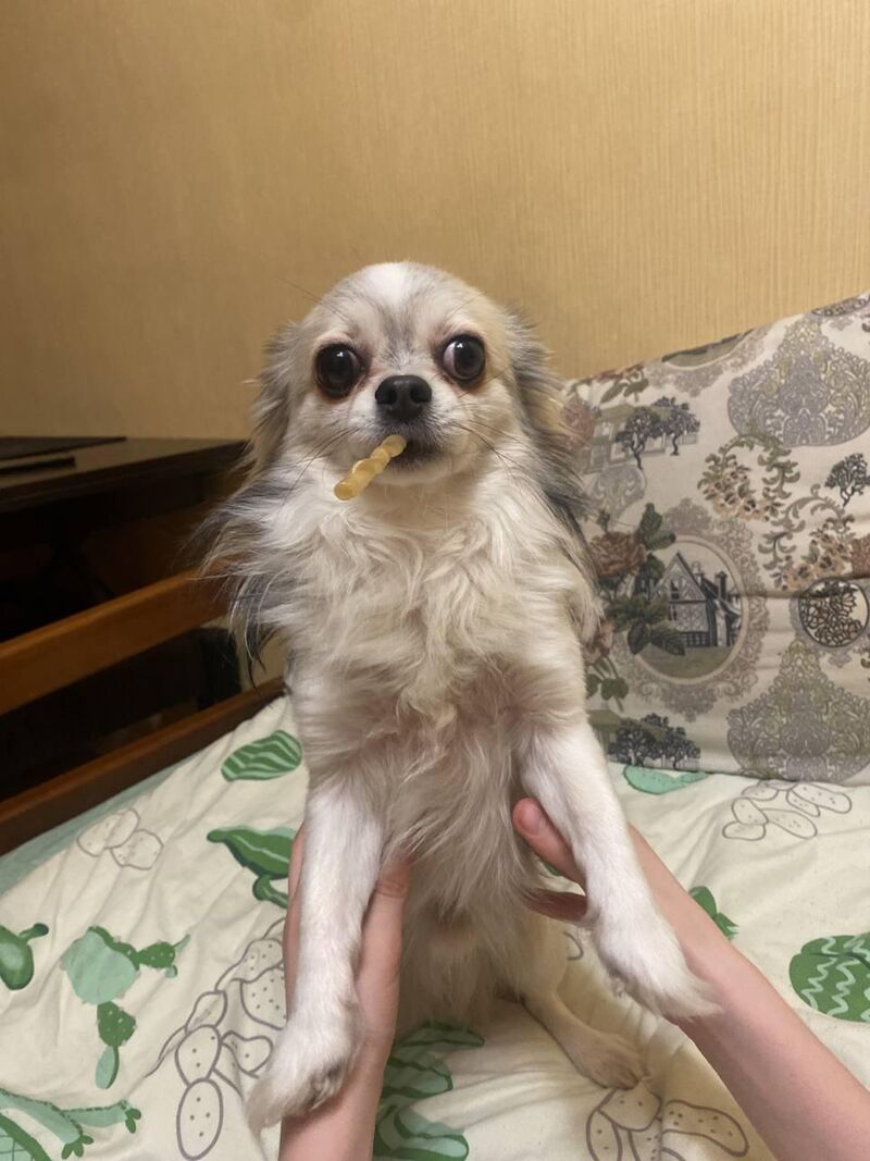 Caught in the act: snack in mouth