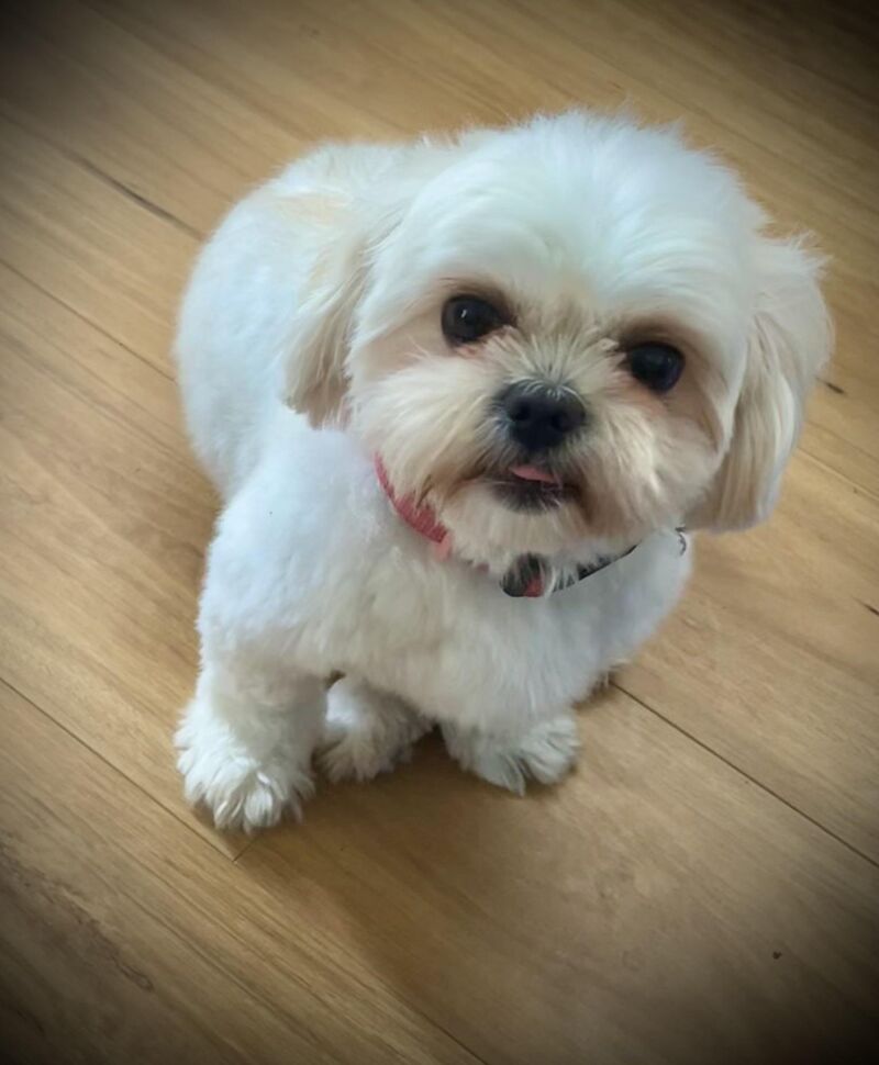 Cheekiest little girl !