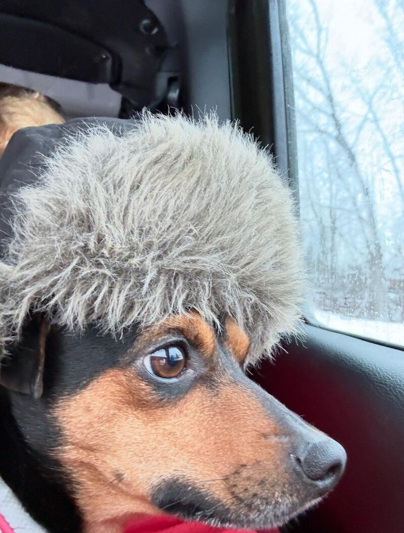 Snoop dog keeping warm in his Ushanka