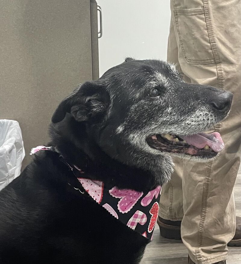 “Hi guys, can I be your Valentine?”- Otis