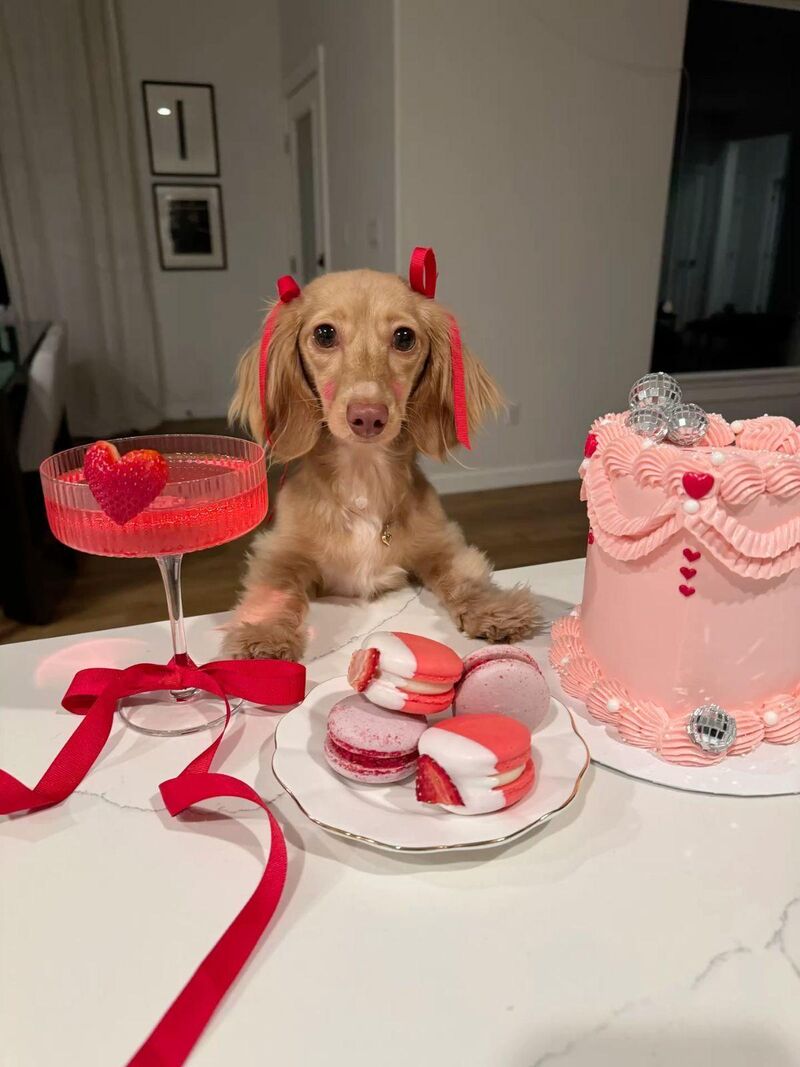 Will you be my Valentine?💘🥀