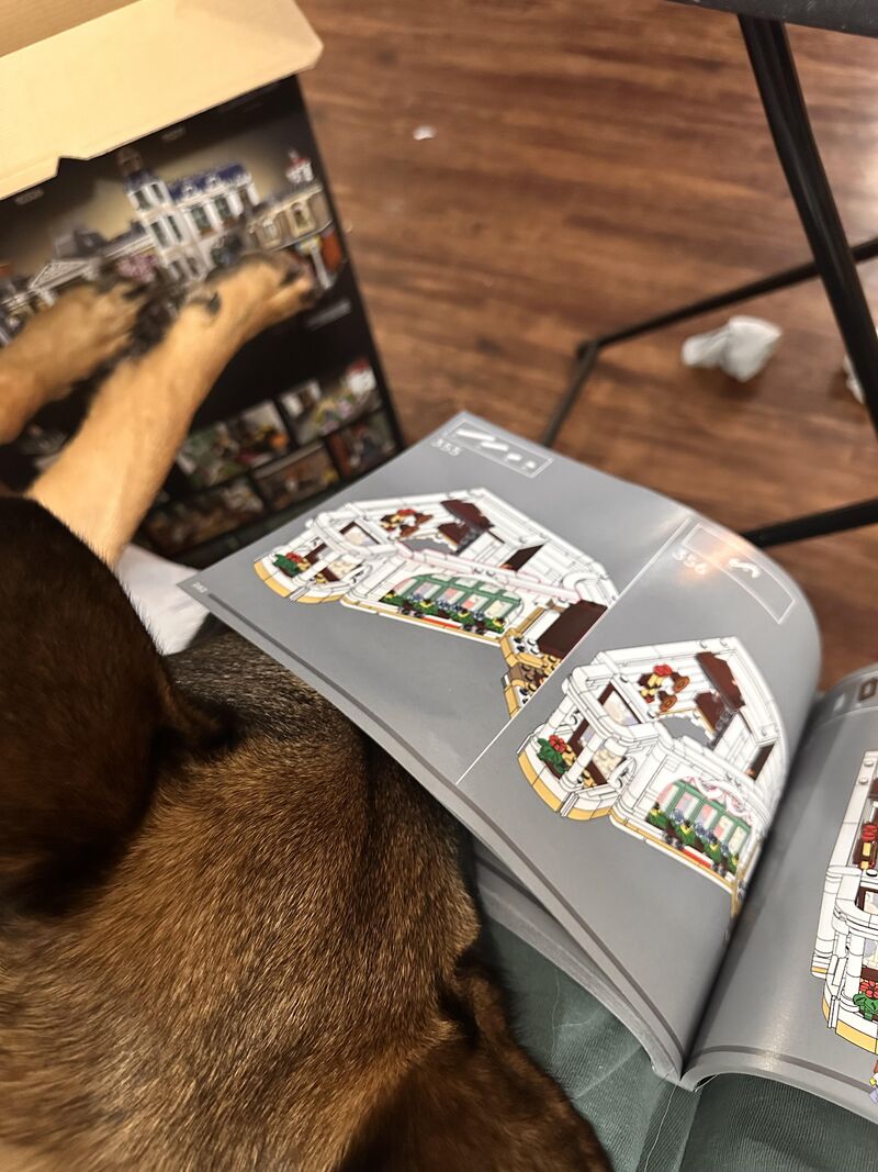 She insisted on laying next to me lol