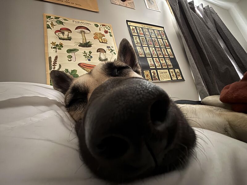 Post bathroom morning snooze