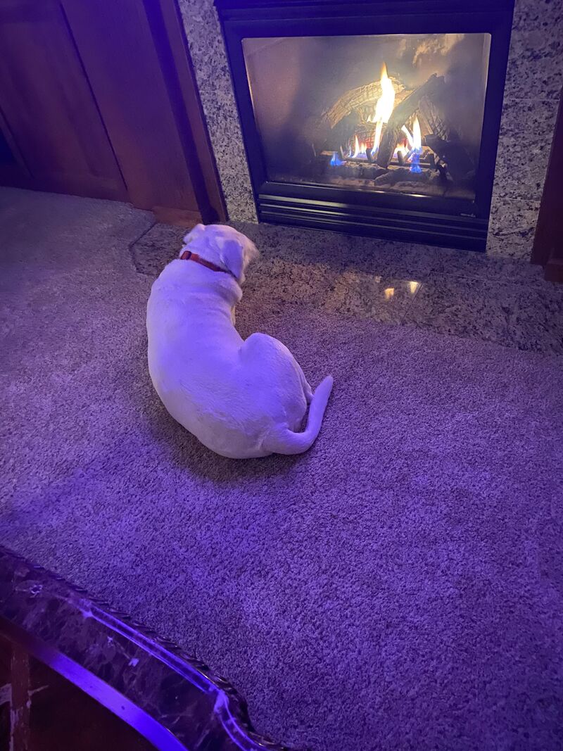 Mom it’s to cold outside