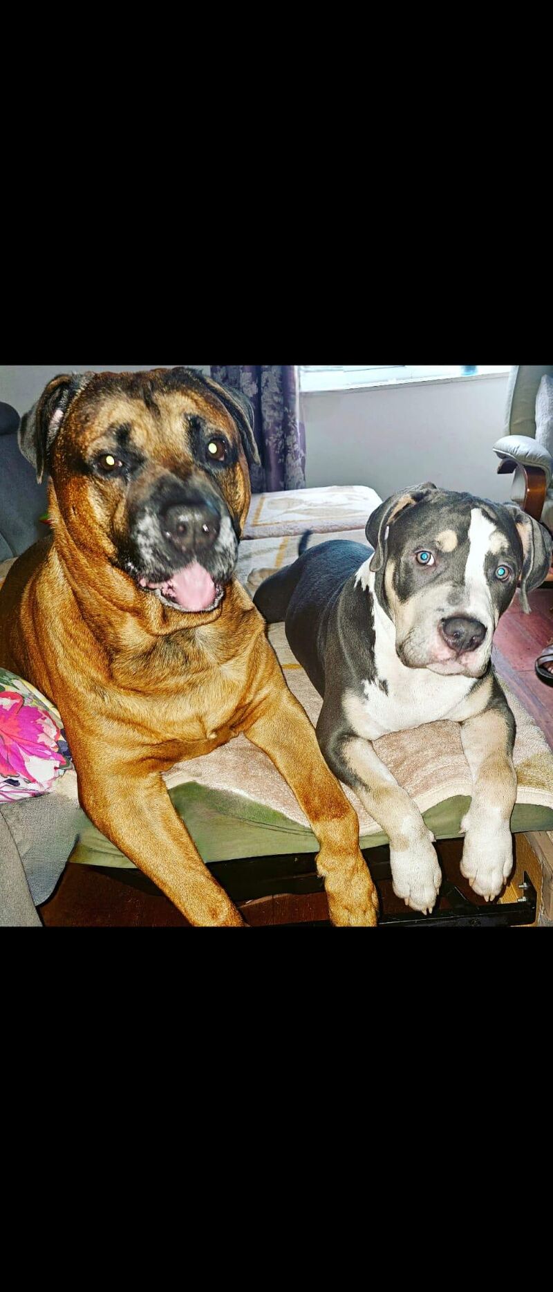 Bros are waiting for snack