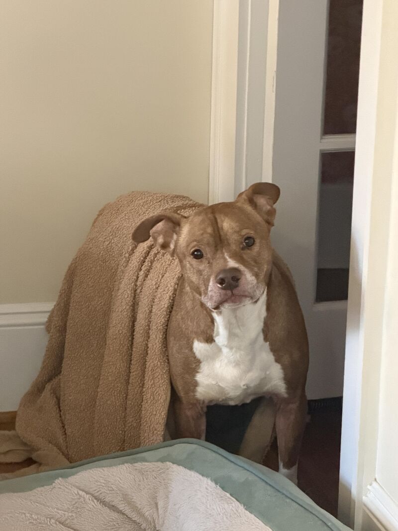 The man. The myth. The Kermit.