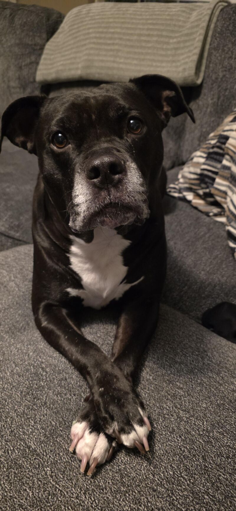 She's a menace most of the time, but she's just so cute!