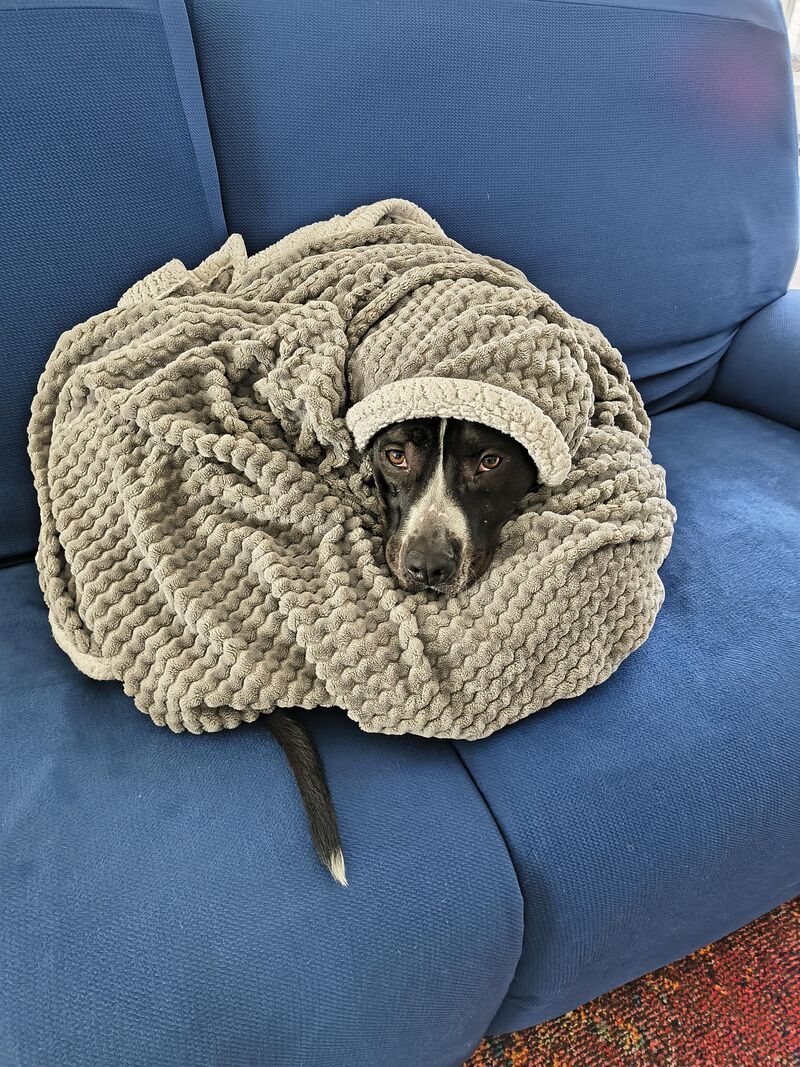 How to stay snug on a snowy Saturday.