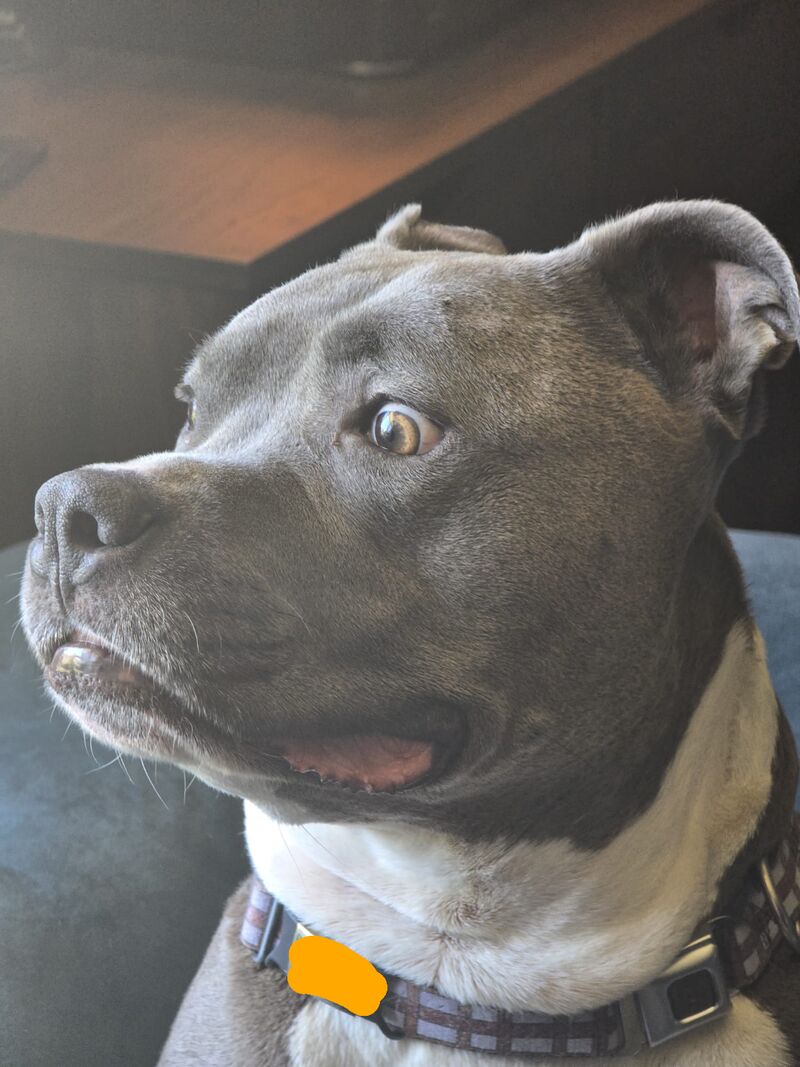 Obi saw something concerning