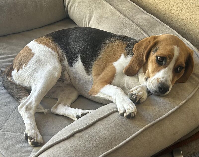 A penny for your thoughts, Marcie? ❤️