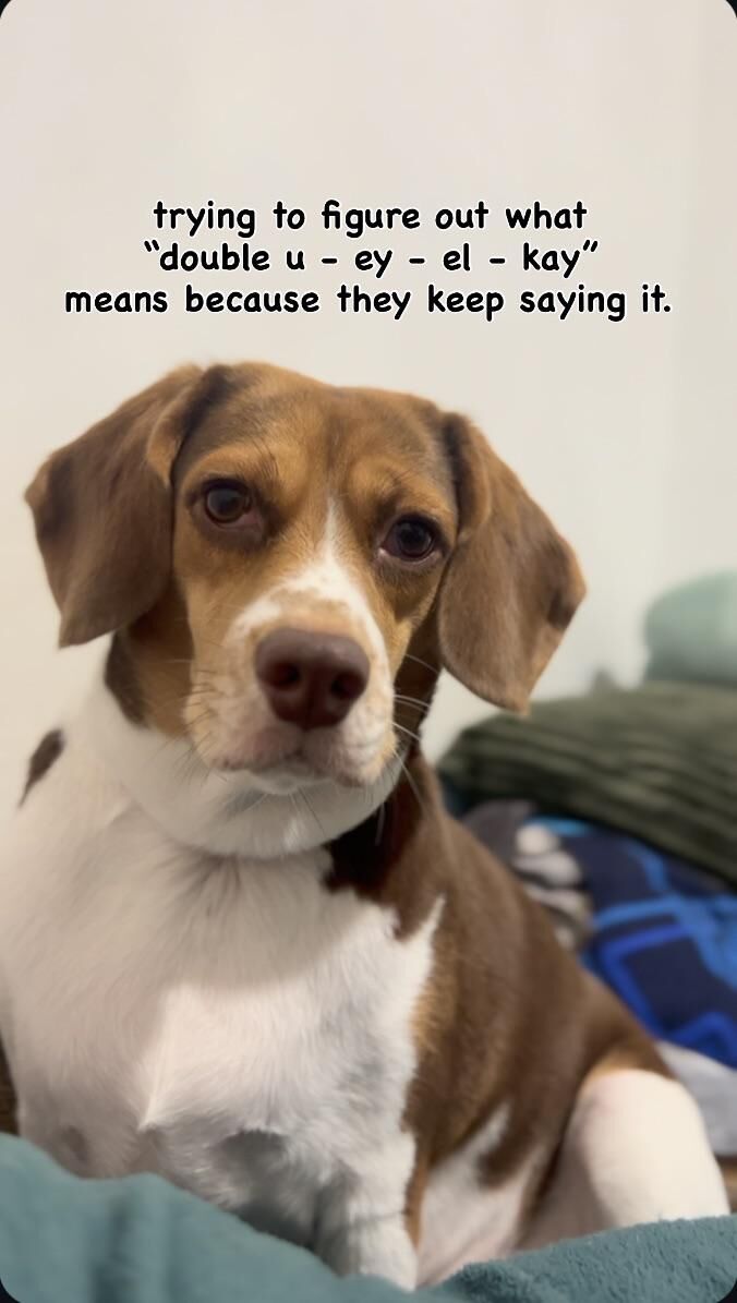 Spelling the magic word to avoid chaos 🤣