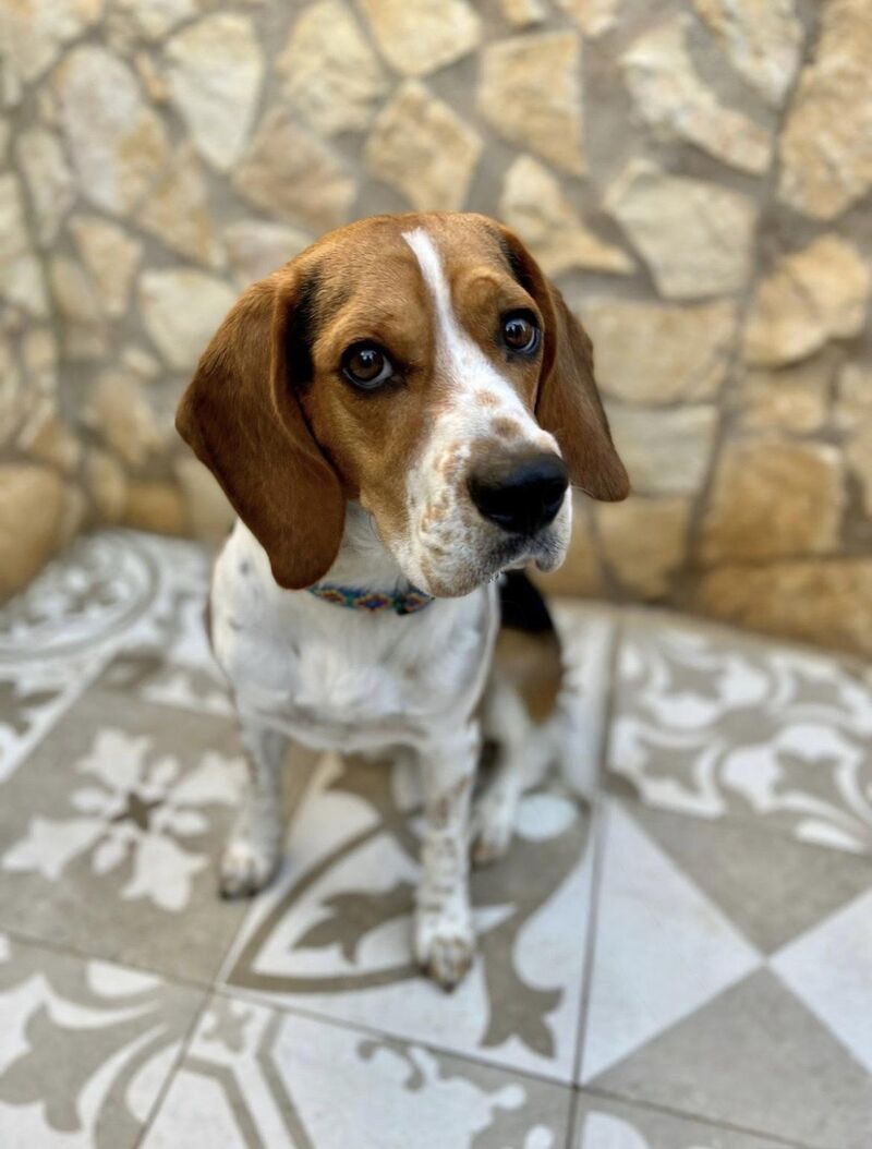 Farewell to a friend