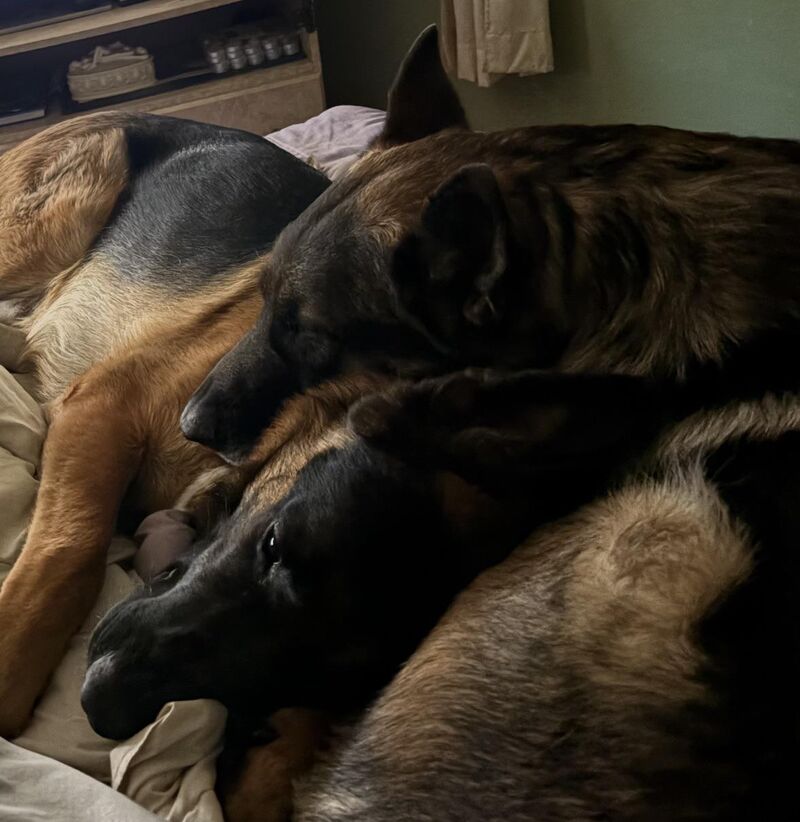 Snuggle buddies on a Saturday morning