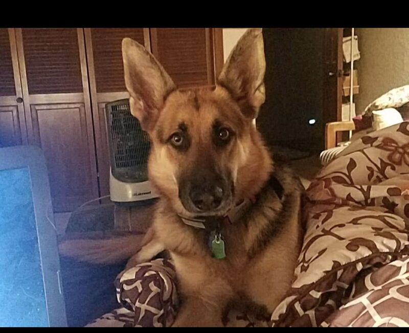 I don’t know what to do.