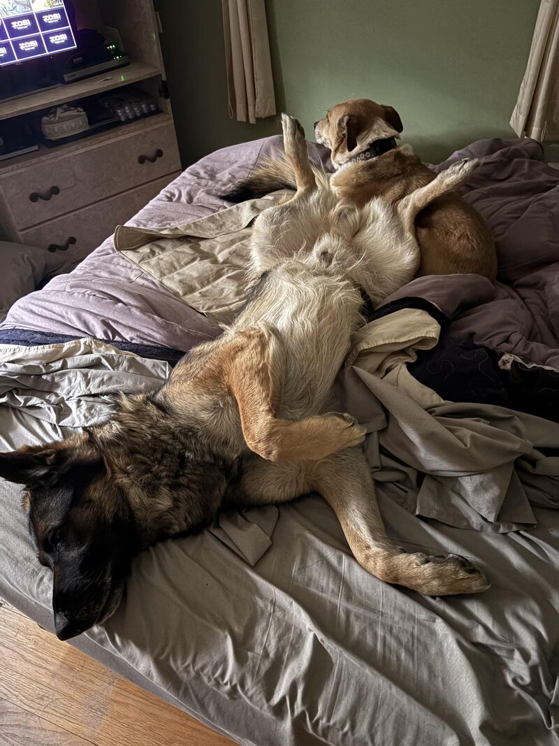 Sleepy Saturday morning