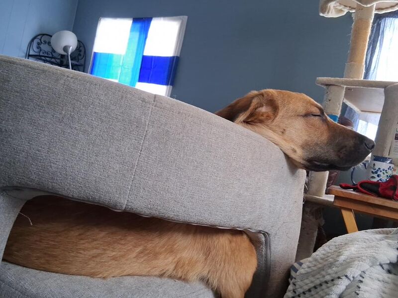 Always ready for action.. even when snoring