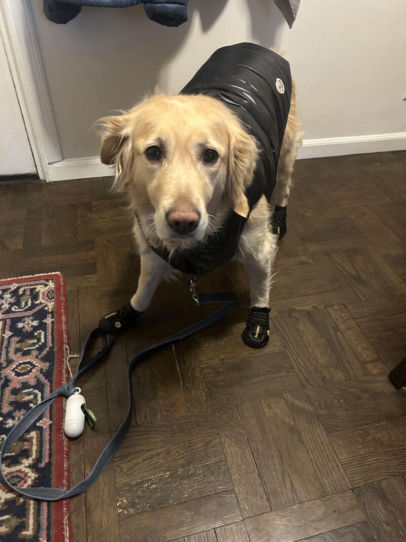 Got his cold weather gear on